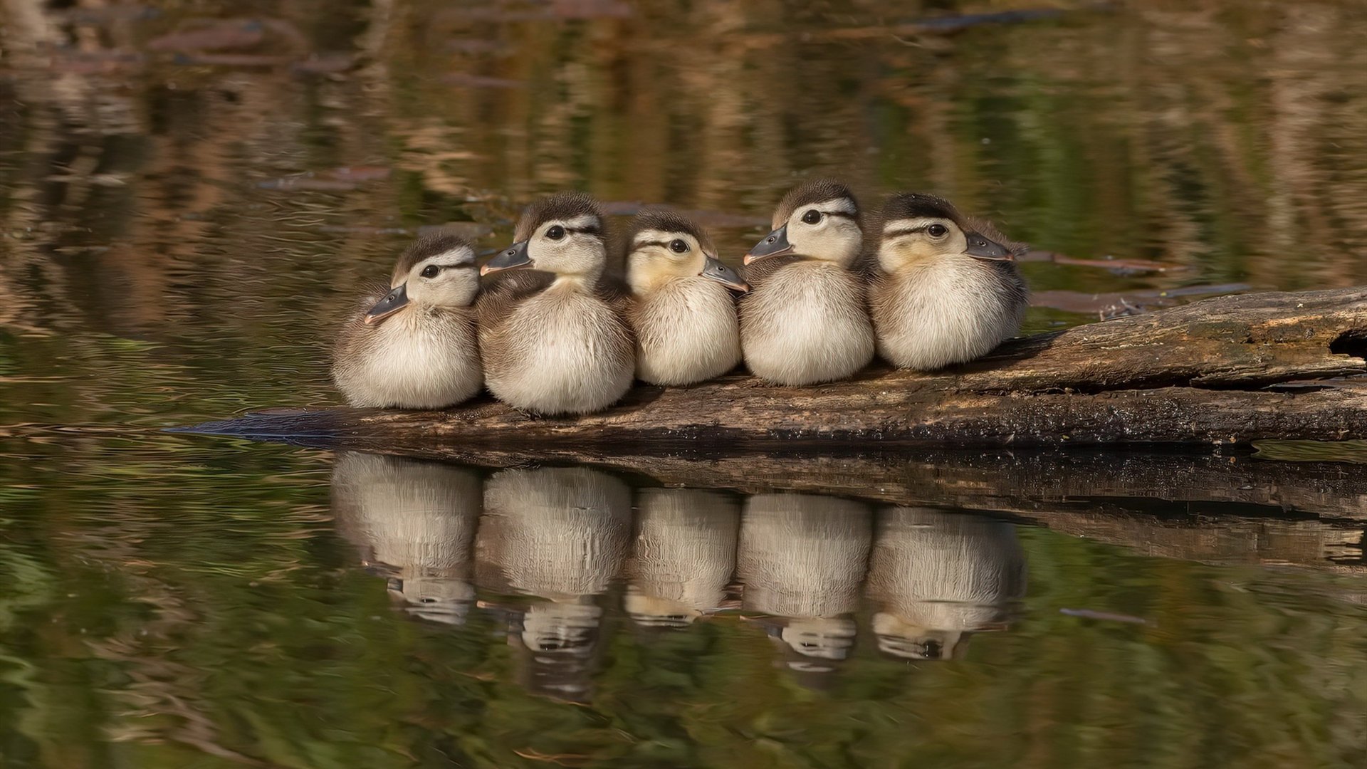 开云在线-_慢跑马拉松:慢享人生的运动理念_,马拉松慢镜头