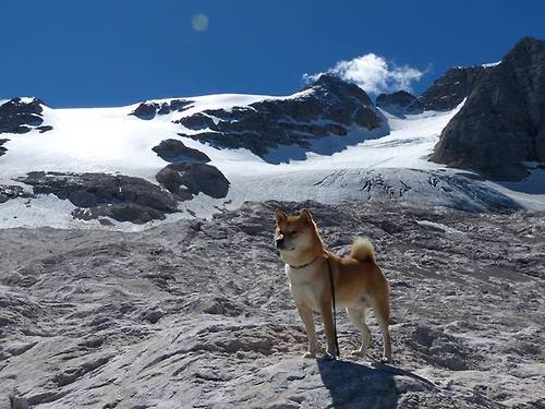 开云体育下载网页版-_赛场边缘：运动员的趣味小插曲_，赛场上运动员之歌