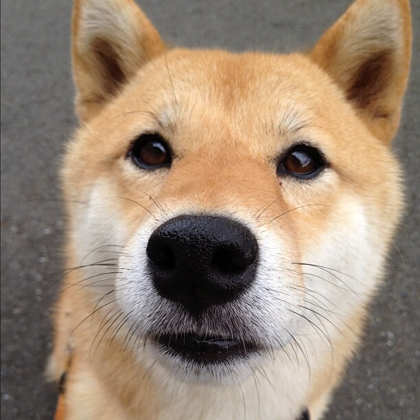 开云娱乐-_魔术队士气高涨，逆转强敌_，魔术队队员名单最新