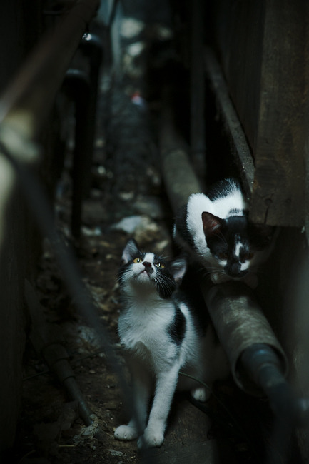 开云娱乐app安全登录-“史诗对决：顶级巨星的巅峰交锋集锦”，史诗联赛