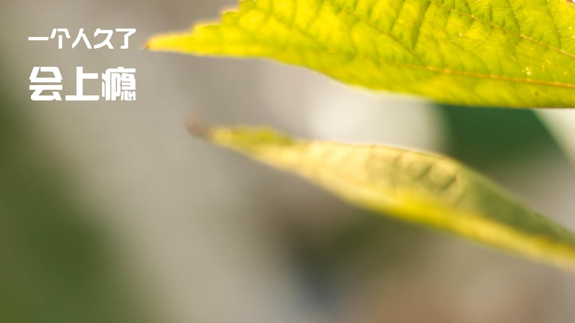 开云在线-“足球+旅游+文化”融合产业研究院在行业内建立示范作用，融合文旅集团有限公司