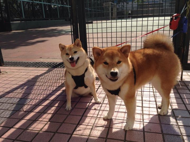 开云体育下载入口-《Faker：职业生涯十年光辉岁月，迎来新征程》，faker生平