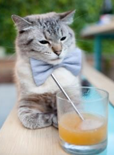 kaiyun sports safe-伊朗女足雪地穿花绕树破门，全网热传，伊朗女球迷看足球赛