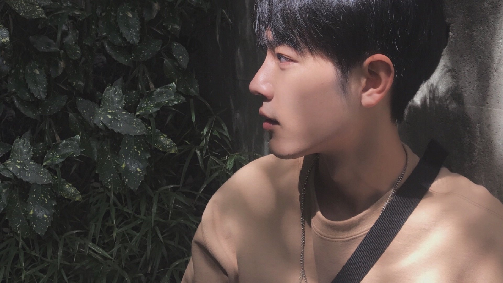 开云体育娱乐app安全-国际冲浪电影节,展现海上运动的动感魅力,冲浪题材电影