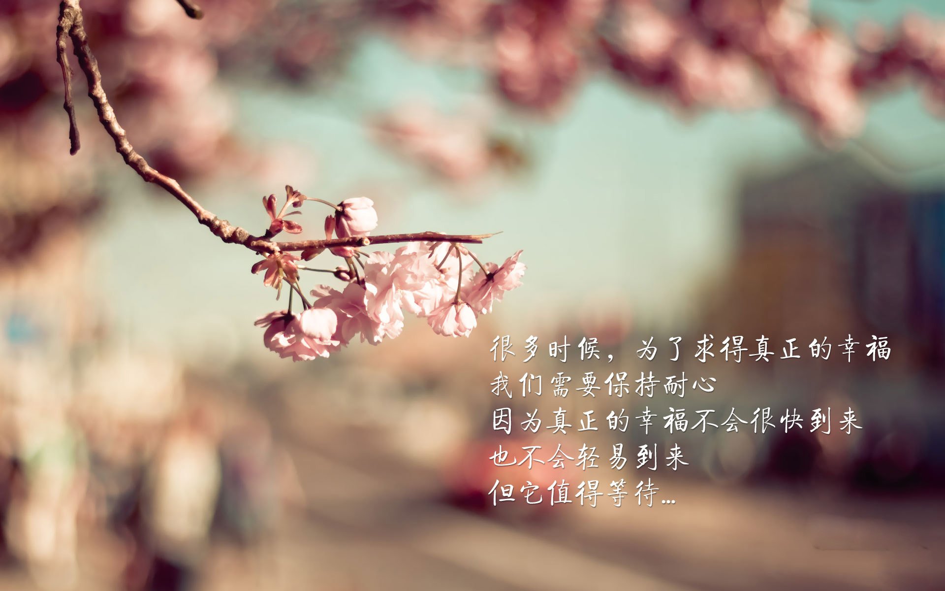 开云体育平台APP-欧冠赛事观赛指南:最佳观看地点与观看技巧,欧冠线下观赛