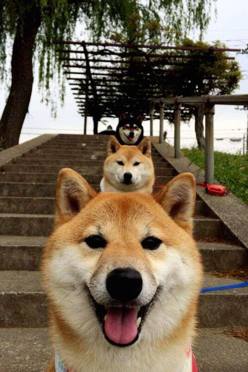 开云APP下载-电竞选手转型教练，助力培养下一代电竞明星，电竞职业选手训练视频