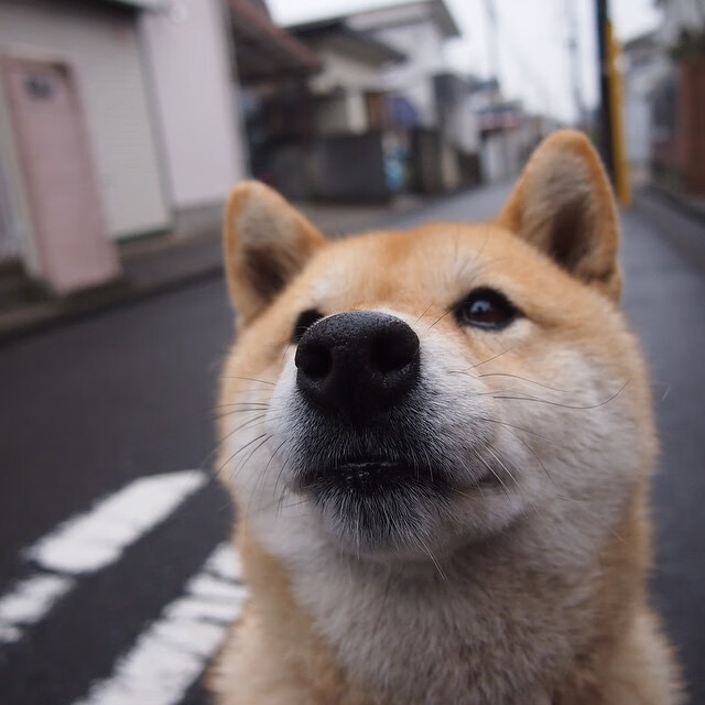 开云娱乐app安全登录-利物浦失分后势必追赶，欧冠希望更渺茫，利物浦欧冠晋级之路