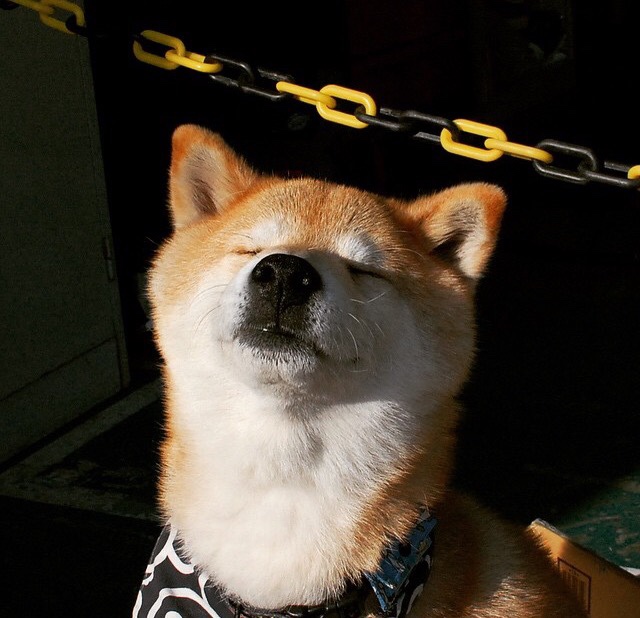 kaiyun app-国足后防线合作日益默契,国足的后防线