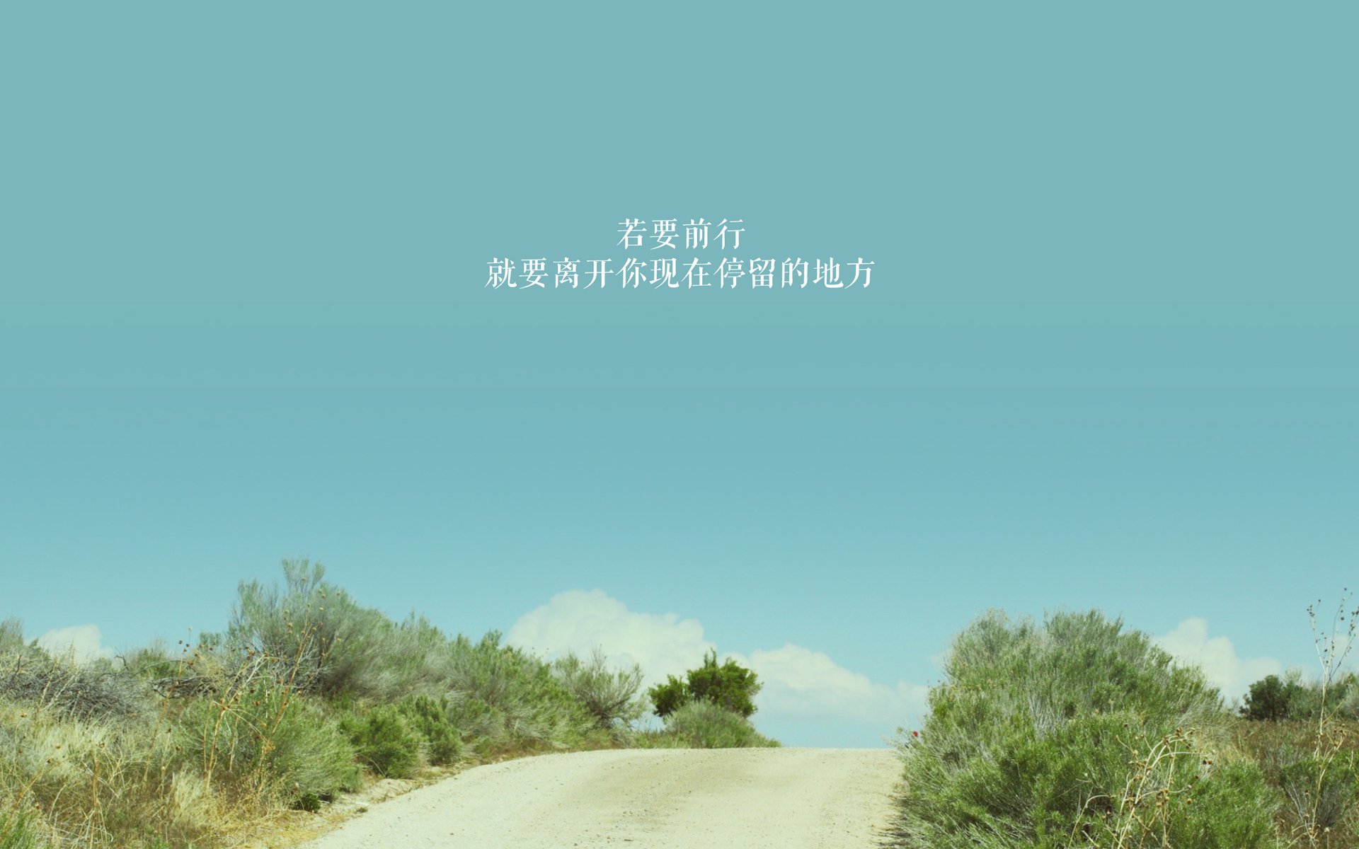 开云娱乐-帕尔马后防表现亮眼,球队保持不败纪录,帕尔马首发