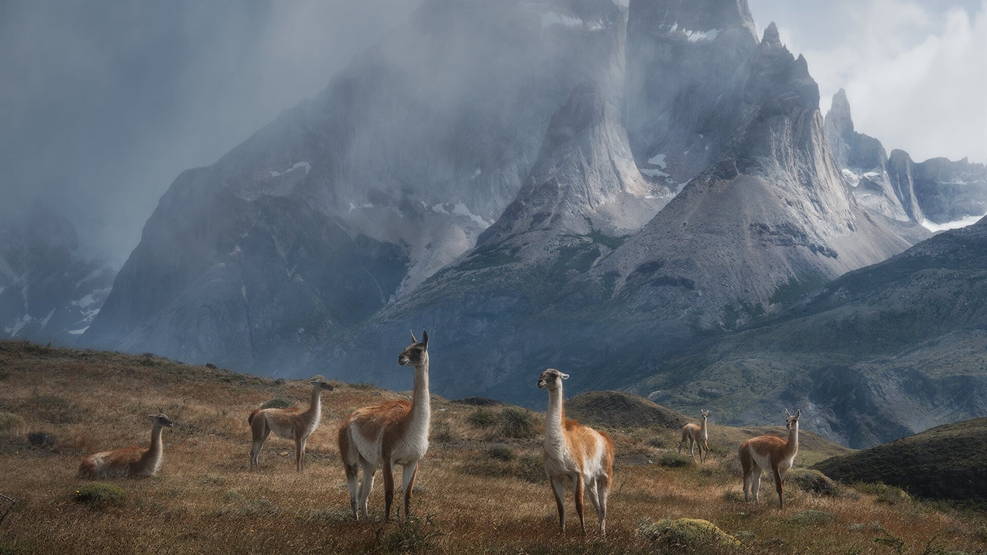 开云体育下载官网-急速比拼:山东队众将团结一致取得胜利,山东队的