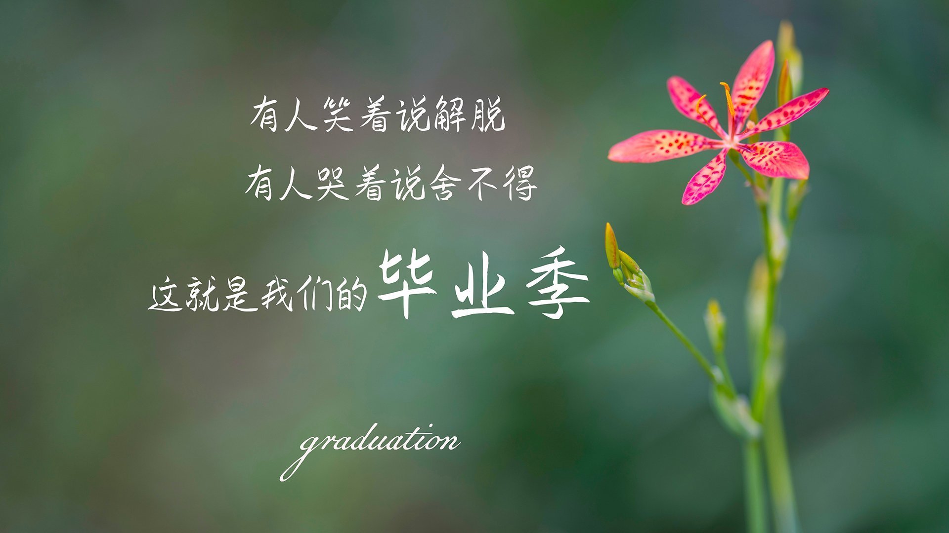 开云体育博彩-中国三人篮球男队全面升级战术体系,三人篮球 中国男篮