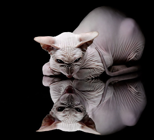 开云娱乐app安全登录-中国足球发展规划缺乏远见，中国足球发展的问题及对策